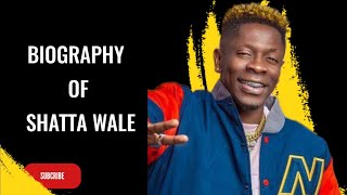 Carrier of Shatta wale