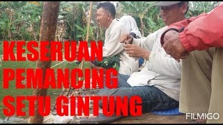 KESERUAN PEMANCING SITU GINTUNG