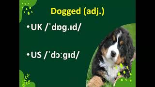 Dogged/Animal Words/UK and US Pronunciation/ Meaning in Urdu and English/ Sentence in English