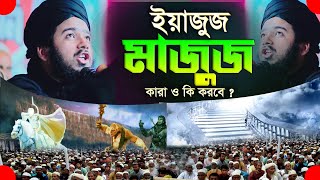 ইয়াজুজ মাজুজ এর কাহিনী | মুফতি আলী হাসান ওসামা সেরা ওয়াজ | Ali Hasan Osama | Nabi Media