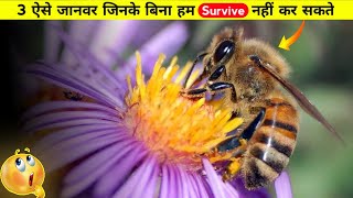 3 ऐसे जानवर जिनके बिना Humans Survive नहीं कर सकते हैं | #shorts