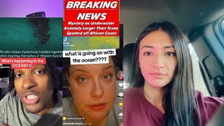 CRAZY THINGS HAPPENING IN THE OCEAN 2024 TIKTOK REACTION