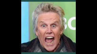 Actor Gary Busey charged with sexual offenses at horror film convention