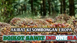 EROPA KENA BATUNYA. IMBAS DARI BOIKOT SAWIT INDONESIA