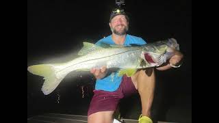 33" Snook on 3rd Cast w/ NLBN Lil' Mullet! Sarasota, Florida, July 3rd 2022