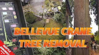 Bellevue Crane Cedar Tree Removal