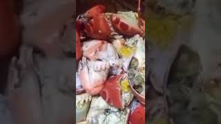 #buttered #crab #shorts #shortsvideo #trending