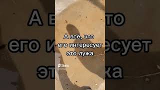 Жизнь в декрете #декрет #жизньвдекрете #дети