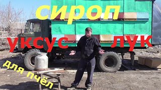 СИРОП С ЛУКОМ И УКСУСОМ / ПЧЁЛЫ ШУРШАТ / РАСПЛОД ОТЛИЧНЫЙ .