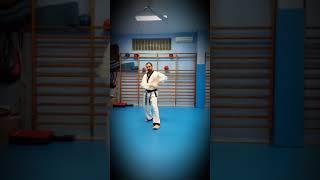 Hapkido entrenamiento nunchaku