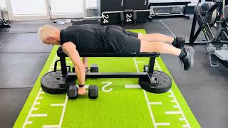 Pronated dumbbell rows. Upper body pull