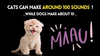 Cats Can Make Around 100 Sounds, While Dogs Make About 10 !