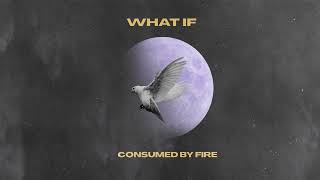 Consumed By Fire - What If (Visualizer)