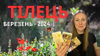 [ТІЛЕЦЬ] Березень 2024 | Таро Порада для Тільців