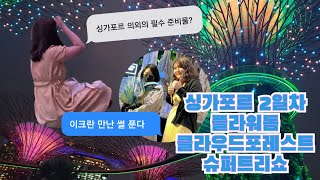 첫 싱가포르 여행 𝕧𝕝𝕠𝕘 - 2일차/💐플라워돔/클라우드포레스트🌊/아바타💙/쉑쉑버거/슈퍼트리🎆/마리나 베이 샌즈 레이저 쇼⚡️