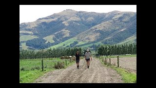 Farmer to Farmer with Dylan & Sheree Ditchfield