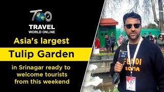 Asia's largest Tulip Gardenin Srinagar ready to welcome tourists from this weekend