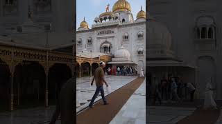 #guru #gurudwara #blog #love #delhi #india #punjabi #explore #trending #shorts #ipl #punjab #summer