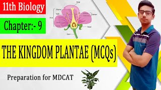 Chapter#9 | The Kingdom Plantae | MCQs | 11th Biology | Preparation for MDCAT.