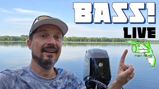 Bass Fishing! Lake Iamonia, FL