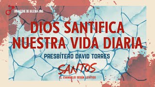 Santos 14 - Dios santifica nuestra vida diaria