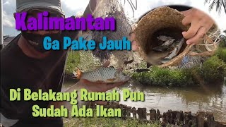 Enaknya Hidup Di Kalimantan Turun Bentar Dah Dapat Ikan Buat Makan