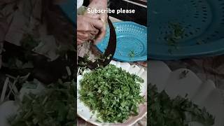 Paratha recipe green paratha 🔥🔥#food #recipe #motherslove