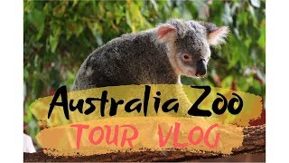 吃可愛長大的動物～被澳洲無尾熊萌得一塌糊塗啦！ | AUSTRALIA ZOO TOUR VLOG