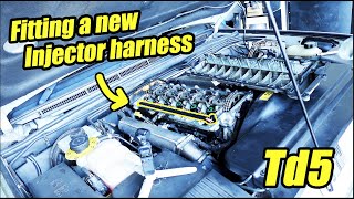 SIX easy steps to swap your injector harness for one that won't feed oil to your ECU!