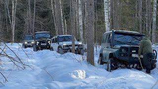 Катнуть по насту!?почему бы нет😁