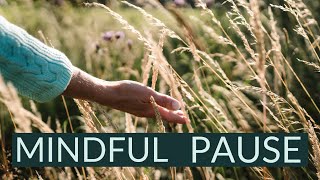 10-Minute Mindful Pause: Quiet Your Busy Mind