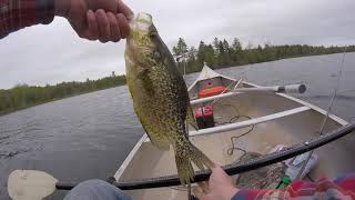 Starting Off the 2020 Season With Some Bass/Crappie Fishing