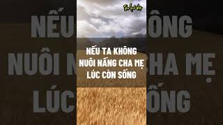 Nếu ta không nuôi nấng cha mẹ lúc còn sống #baihoccuocsong