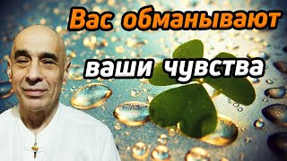 Мир не такой, каким кажется / Вас обманывают ваши чувства