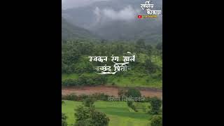 Kokan Monsoon Video #viral #trending #rain  #maharashtra #kokan #marathi