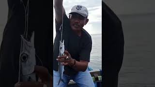 Tarikannya Bikin Emosi #mancing #shorts