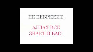 Коран.Заповедь "Не убивайте,не изгоняйте"-не воскреснете! #господь #аллах  #мусульманам #законбожий