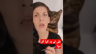 cat fun | eyeliner pencil lagany ka method #funny # catlove#kids #viral