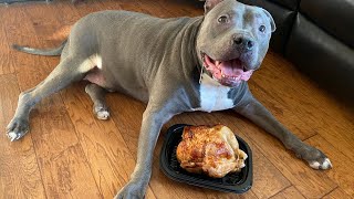 Will The Pitbull Eat The Chicken If I Leave The Room?