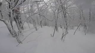 Hunting Powder Stashes and Shredding Groomers at Jay Peak (01/28/20)