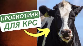 НОВИНКА!! Пробиотик для КРС. Кормовые добавки. Гуминатрин ПРОБИО.