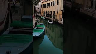 Venetian Reflections #shorts #fouryourpage #fvp #italy #awe #reflection #venetian #venice