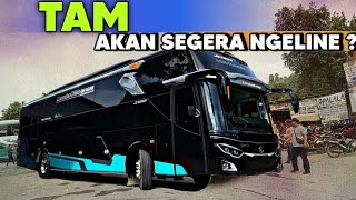 MEMANAS 🔥 TAM AKAN SEGERA NGELINE ⁉️ STJ...TUNGGU ADA KEJUTAN‼️