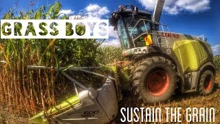 Grassboys - Sustain the Grain. Gavins Ltd Maize silage season New Zealand, Waikato