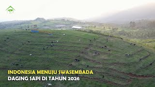 Ternyata Banyak Provinsi Penghasil Sapi di Indonesia. Apakah Masih Impor ‼️