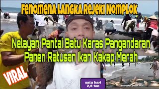 VIRAL !!! Nelayan Pantai Batu Karas Pangandaran panen ratusan ikan kakap merah