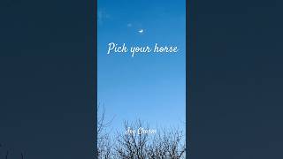 Pick your horse… #horse #horse #myedit #horsesports #equestrian #equestrian #equines #horseriding