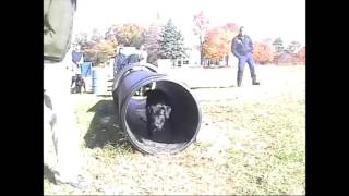 Gwen Police Dog News Story for Fox 61 Student News