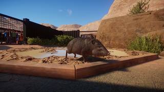 Planet Zoo - Oasis Springs Zoo Peccaries Habitat