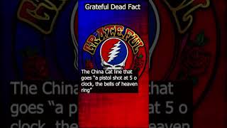 #chinacat #deadfacts